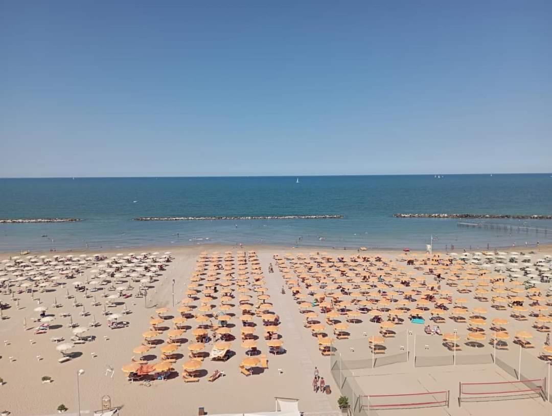Salsedine 