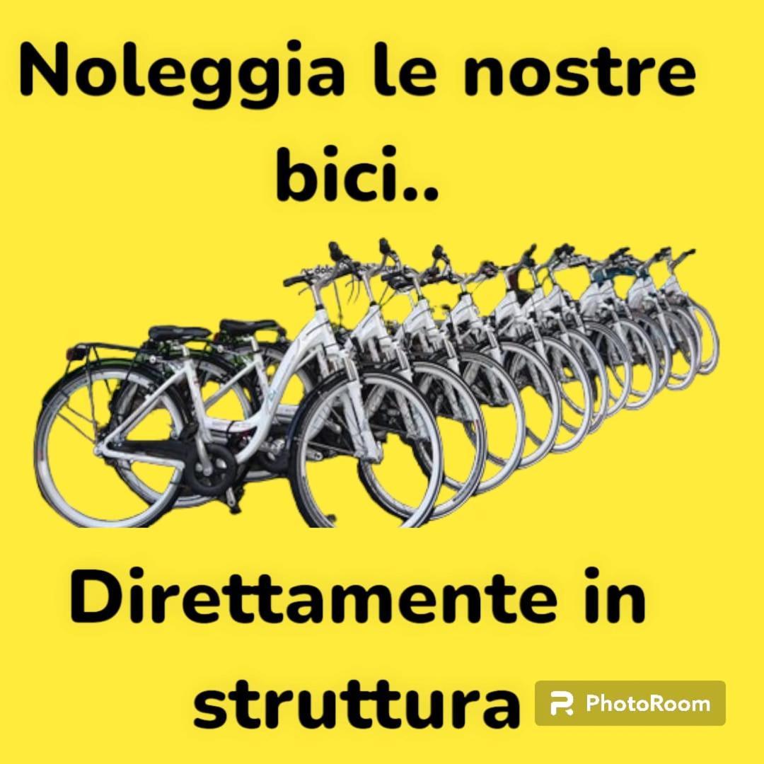 Salsedine 
